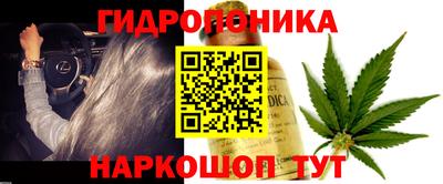 сатива Бузулук